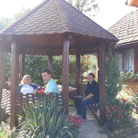 Guesthouse Kuzmanovic Guca Bagian luar foto
