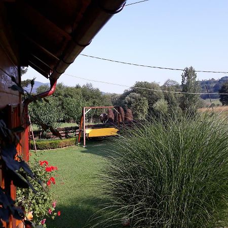Guesthouse Kuzmanovic Guca Bagian luar foto