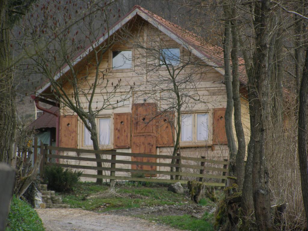 Guesthouse Kuzmanovic Guca Bagian luar foto