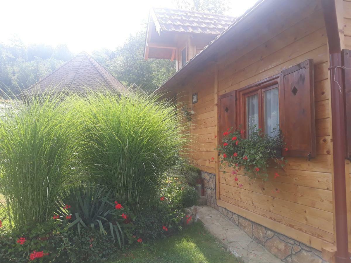 Guesthouse Kuzmanovic Guca Bagian luar foto