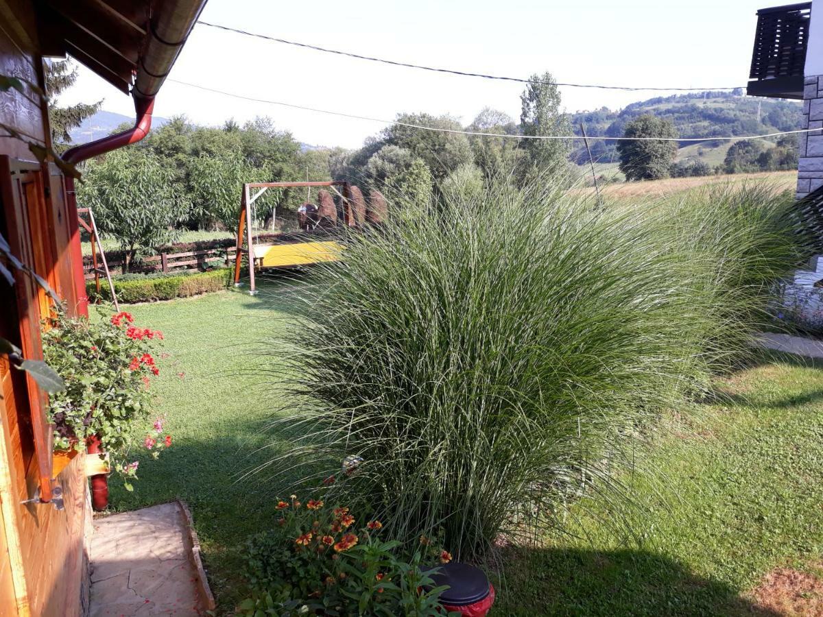 Guesthouse Kuzmanovic Guca Bagian luar foto